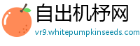 自出机杼网